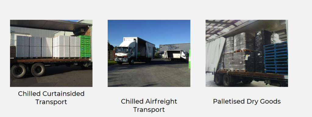 Different brands of trucks at auckland contract carriers